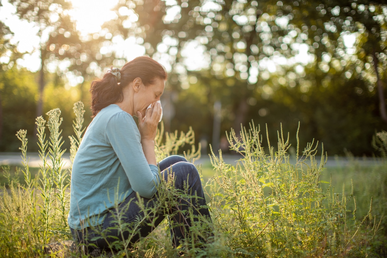 Woman with allergies sitting amidst ragweed pollen