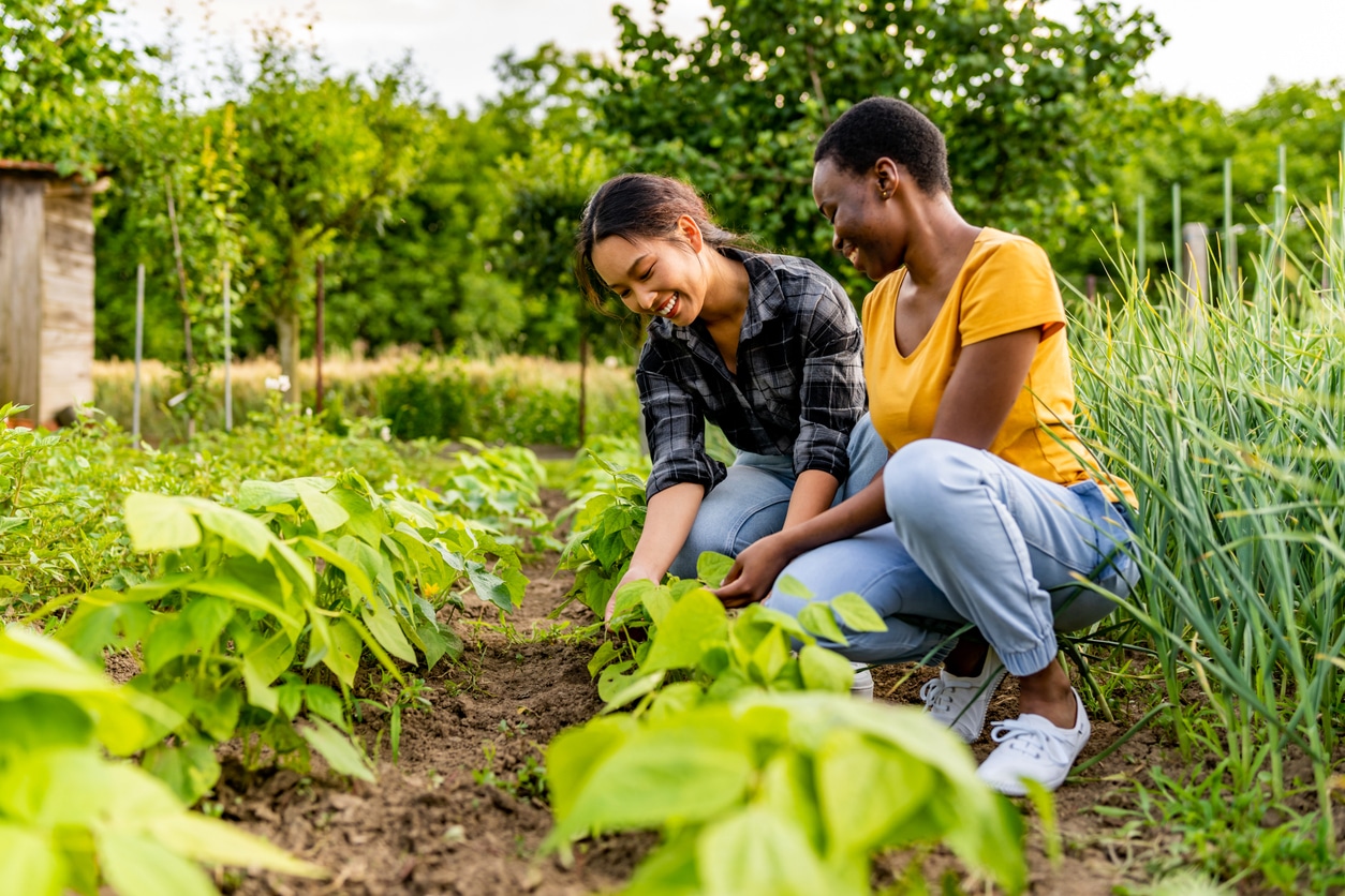 Two women gardening together
