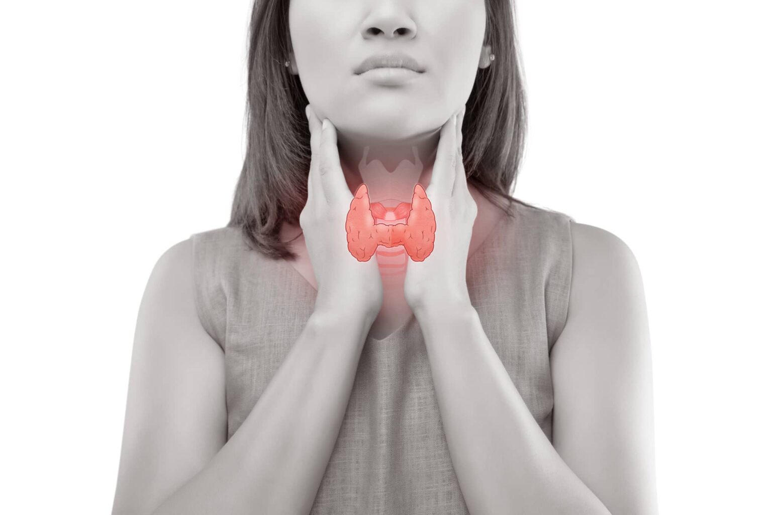 Black-and-white photo of the upper body superimposed with an illustration of the thyroid glands in pink